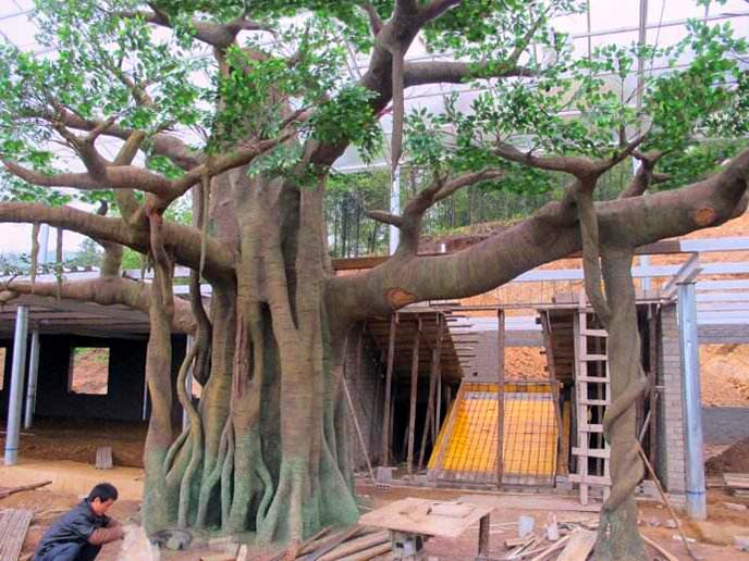 仿真榕树.jpg 仿真榕树