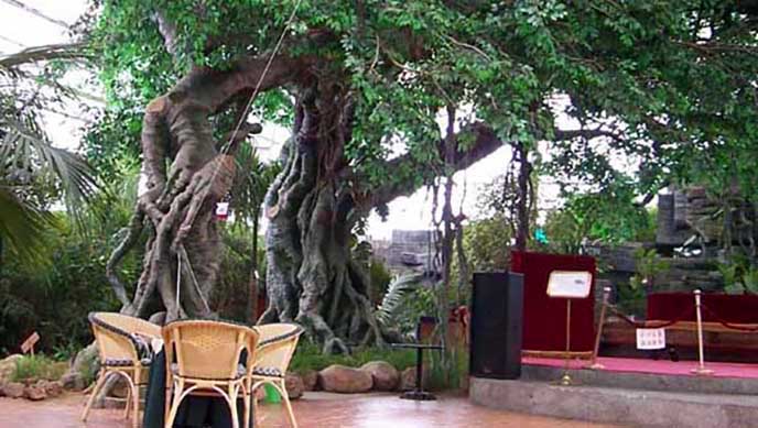 仿真榕树.jpg 仿真榕树