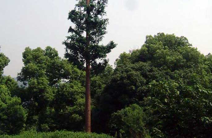 仿真信号塔树.jpg 仿真信号塔树