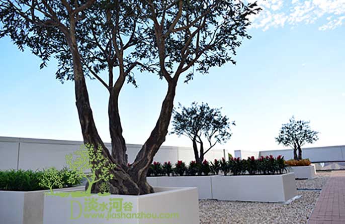 仿真树.jpg 仿真树