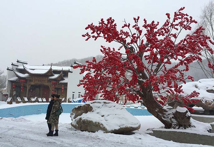 仿真树.jpg 仿真树