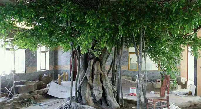 仿真树.jpg 仿真树