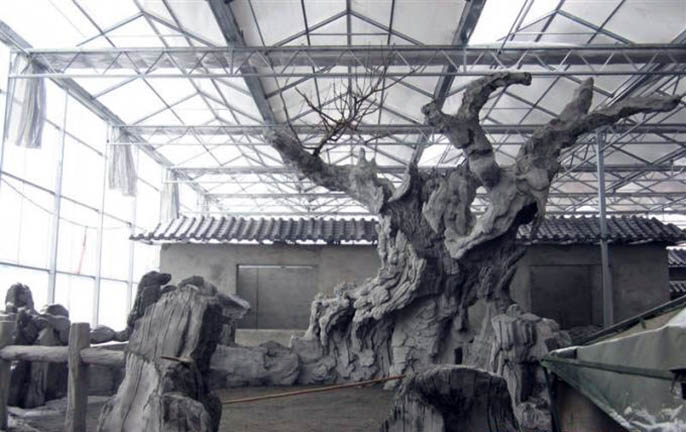 假山假树.jpg 假山假树