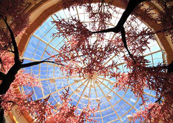 仿真树.jpeg 仿真树