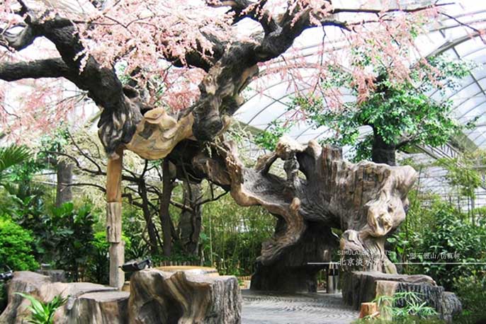 仿真树.jpg 仿真树