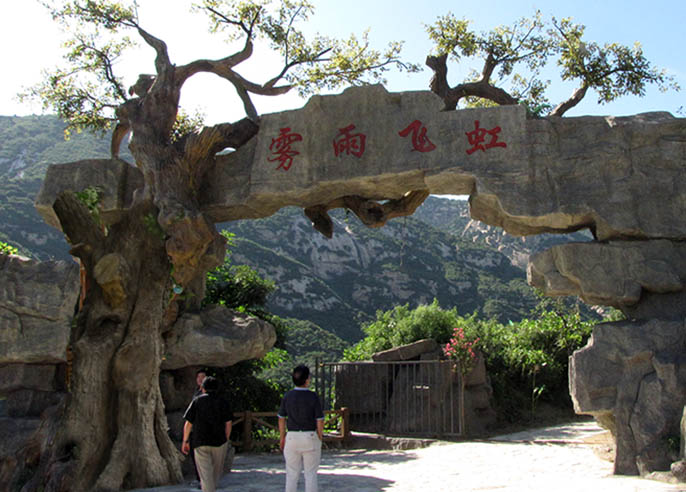 仿真树大门.jpg 仿真树大门