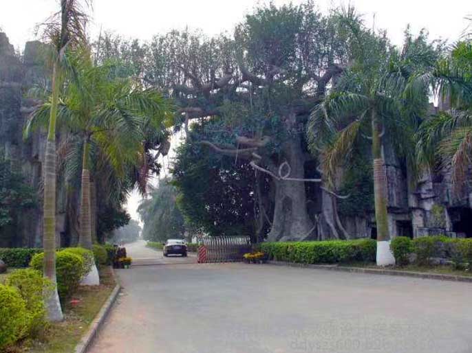 仿真树大门.jpg 仿真树大门