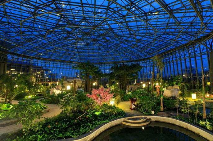 仿真榕树.jpeg 仿真榕树