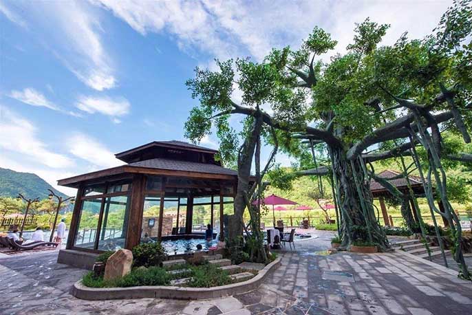 仿真榕树.jpeg 仿真榕树