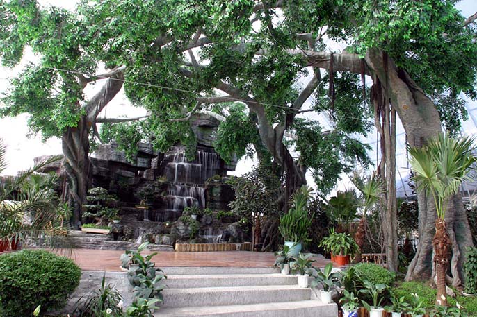 水泥假山假树.jpg 水泥假山假树