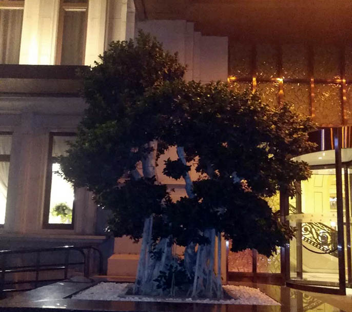 仿真榕树.jpg 仿真榕树