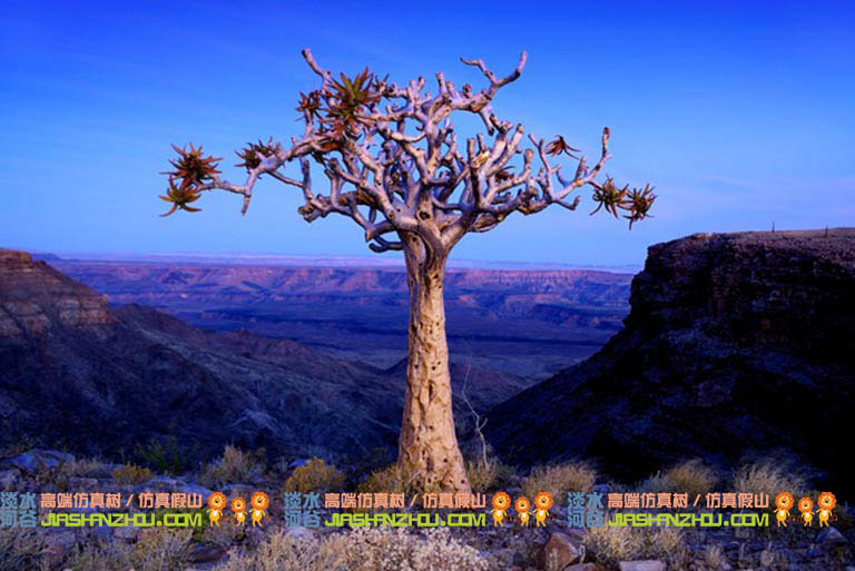 仿真树.jpg 仿真树