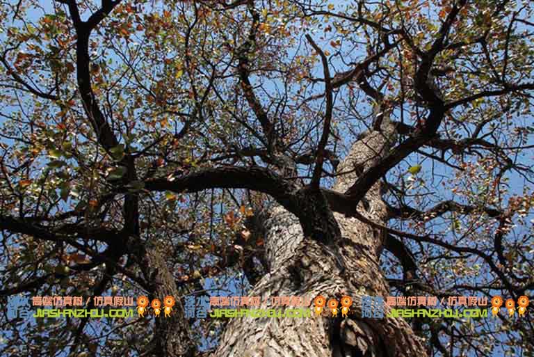 仿真树.jpg 仿真树