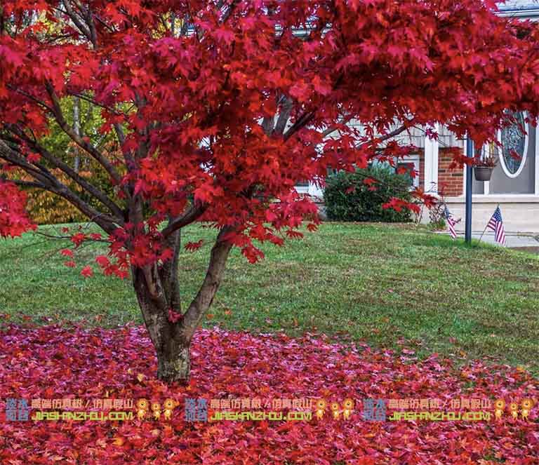 仿真树.jpg 仿真树