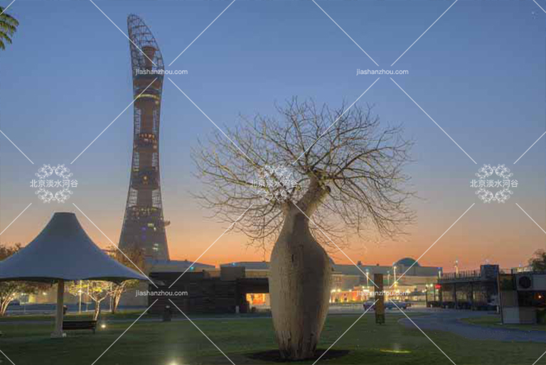 仿真树.jpg 仿真树