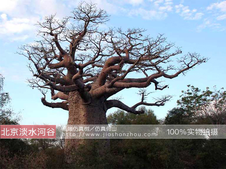 仿真树.jpg 仿真树