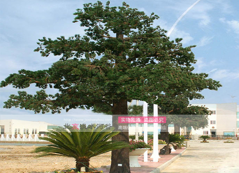 仿真树.jpg 仿真树