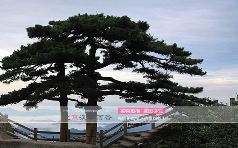 仿真树.jpg 仿真树