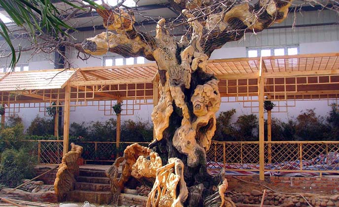 仿真树图片.jpg 仿真树图片