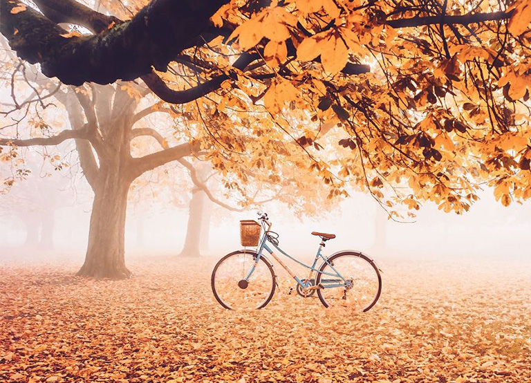 仿真树.jpg 仿真树