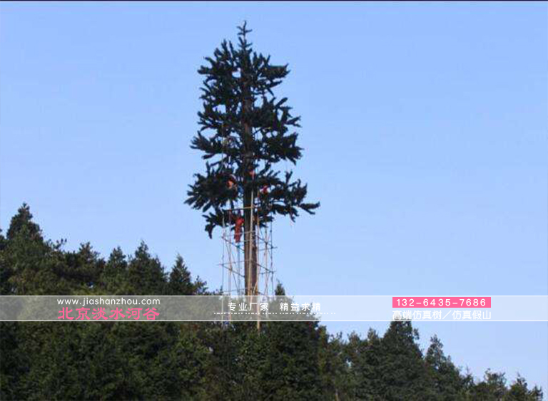 仿真树.jpg 仿真树