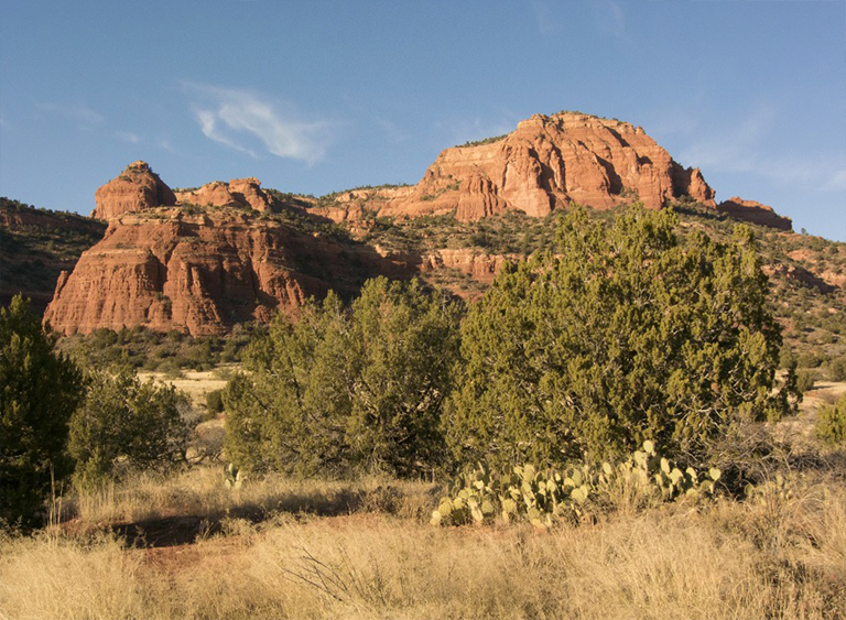 可可诺国家森林在亚利桑那州.jpg 可可诺国家森林在亚利桑那州