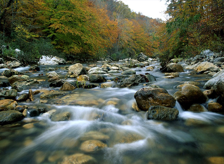 瓦希塔国家森林公园在阿肯色州.jpg 瓦希塔国家森林公园在阿肯色州