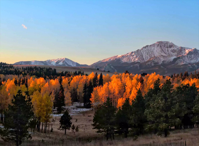 派克国家森林公园在科罗拉多.jpg 派克国家森林公园在科罗拉多