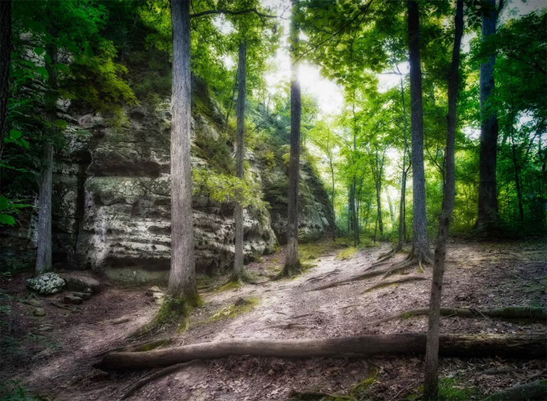 肖尼国家森林公园在伊利诺伊州