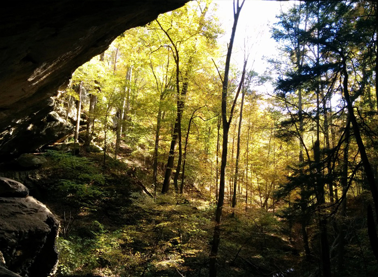 印第安纳州的印第安纳州国家森林公园