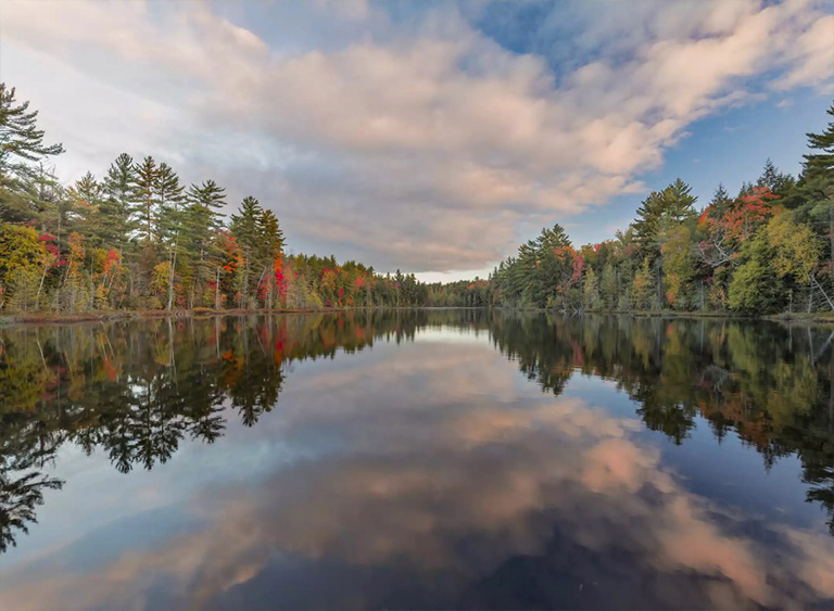 国家森林公园在密歇根州