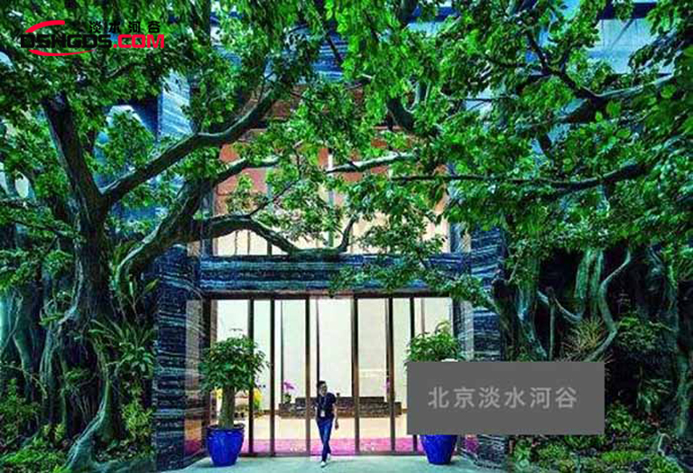 仿真树.jpg 仿真树