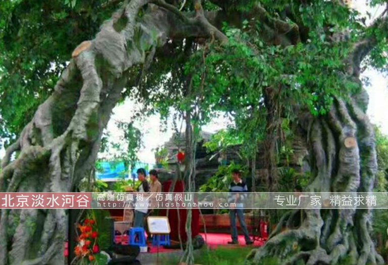 1584781255238763.jpg 25.jpg