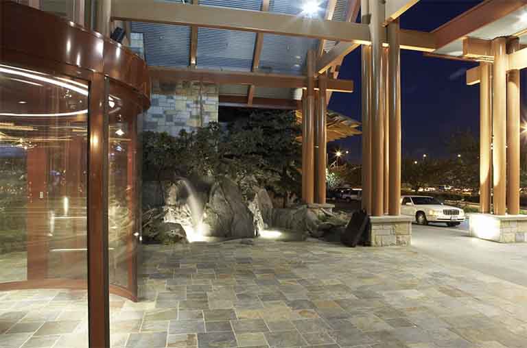 博物馆假树.jpg 博物馆假树