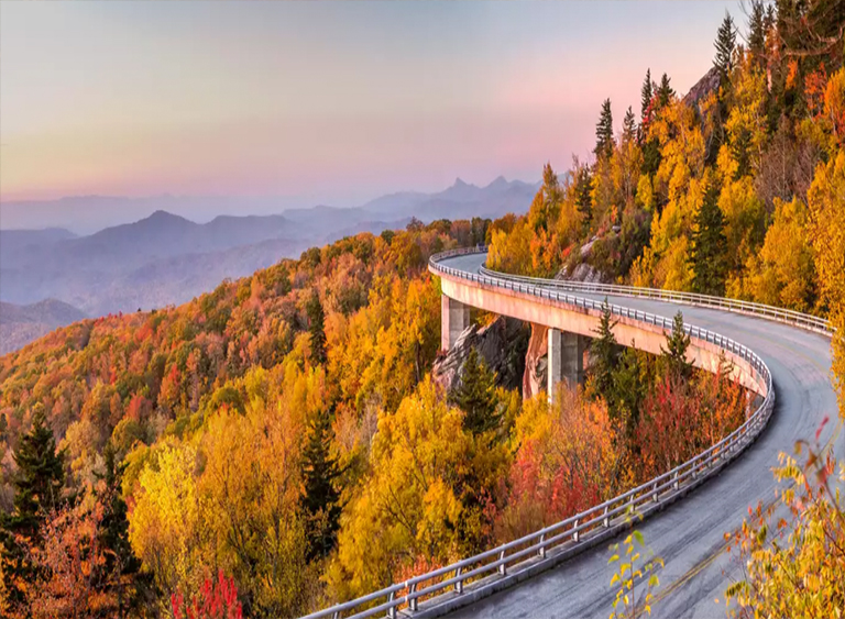 仿真树.jpg 仿真树
