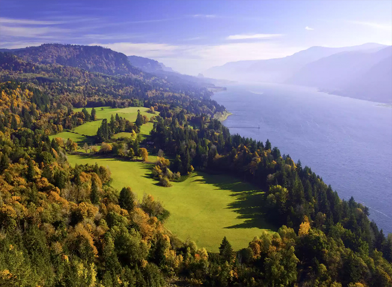 仿真树.jpg 仿真树