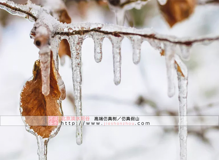 仿真树.jpg 仿真树