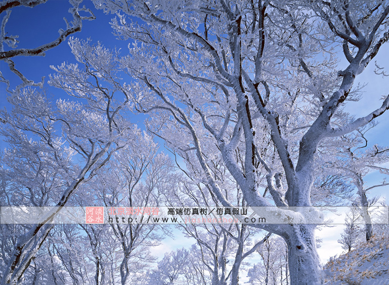 仿真树.jpg 仿真树