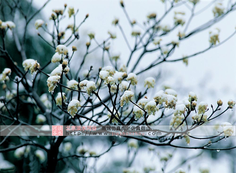 仿真树.jpg 仿真树