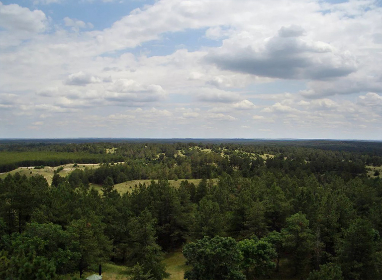 内布拉斯加州国家森林