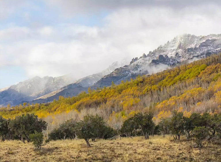 洪堡-Toiyabe国家森林在内华达州
