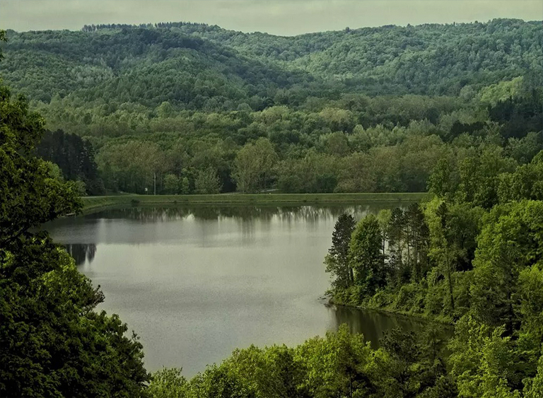 俄亥俄州的韦恩国家森林