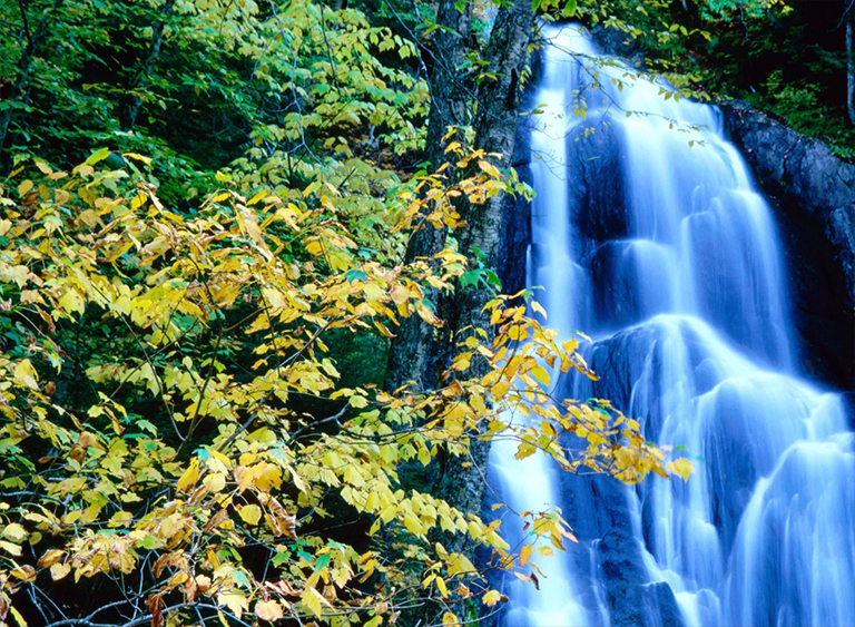 佛蒙特州的绿山国家森林.jpg 佛蒙特州的绿山国家森林