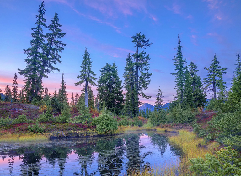 华盛顿的贝克山-斯诺夸尔米山国家森林.jpg 华盛顿的贝克山-斯诺夸尔米山国家森林