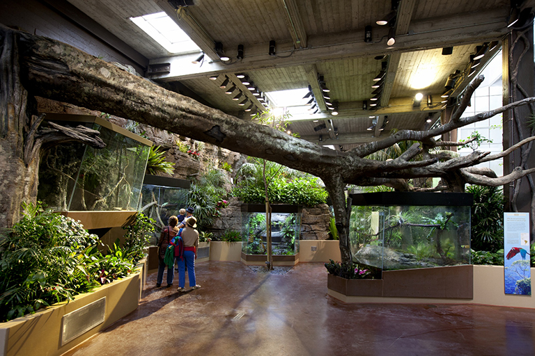 仿真树.jpg 仿真树