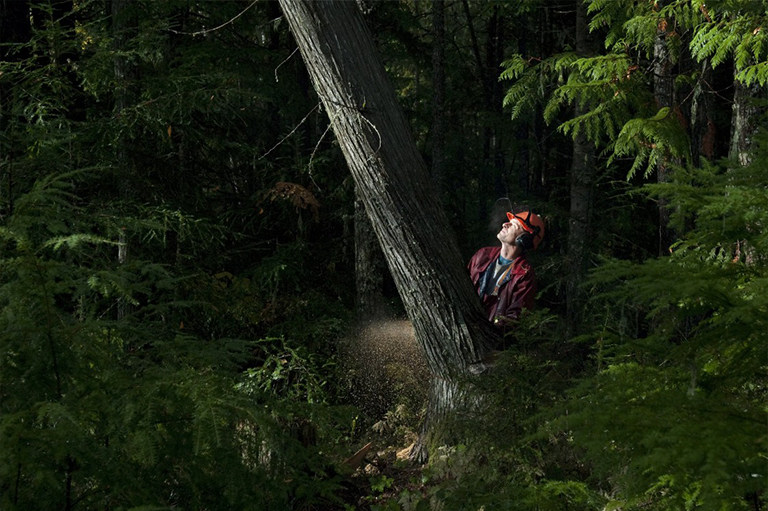 仿真树.jpg 仿真树