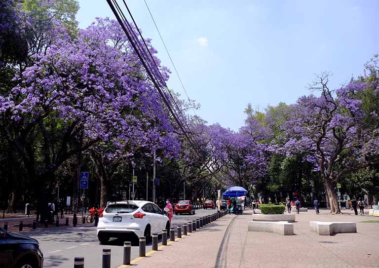 仿真树皮.jpg 仿真树皮