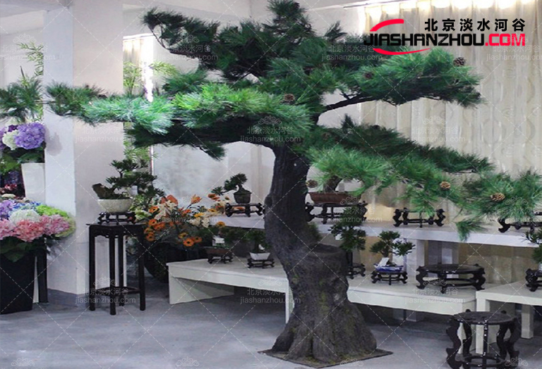 仿真树.jpg 仿真树