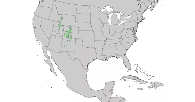 仿真树.jpg 仿真树