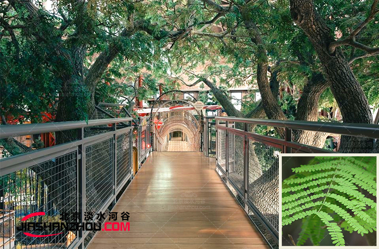 仿真树.jpg 仿真树